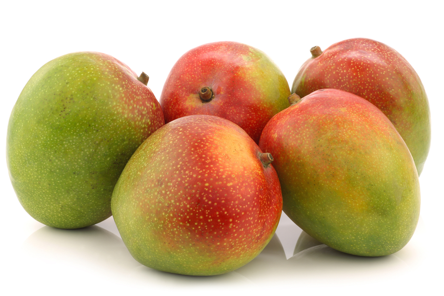 Mangue